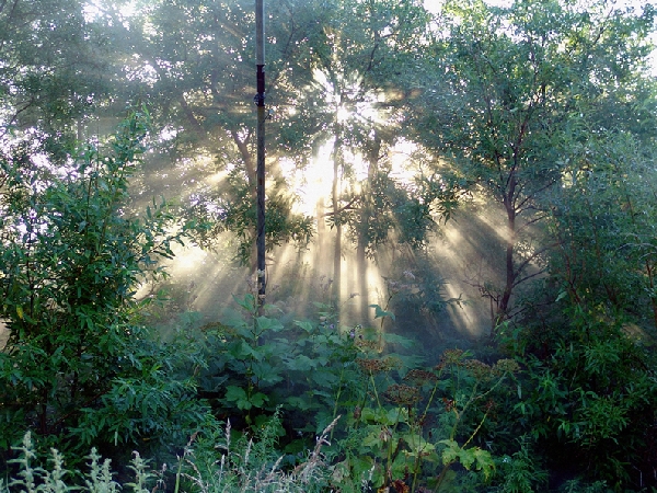 Steam - cathedral 2004 Pigments on photo rag 96x78 cm. Edition of 10